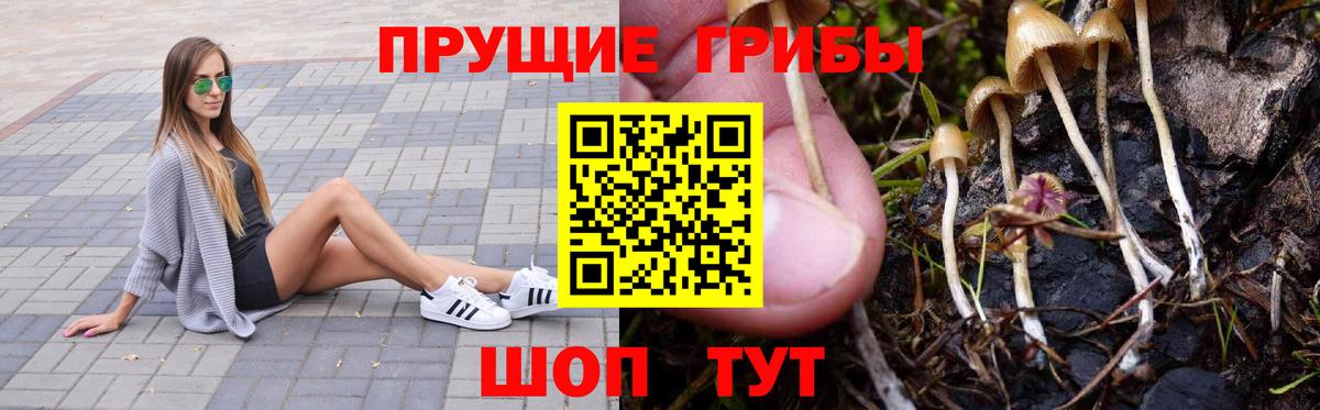 Галлюциногенные грибы прущие грибы Углич
